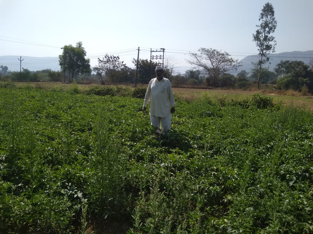 CBOF प्रकल्प कार्य